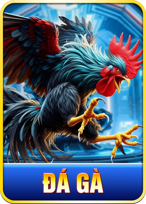 QH88 | Tải App QH88 | QH88FOO Link Chính Thức QH 88 Uy Tín 6 ĐÁ GÀ
